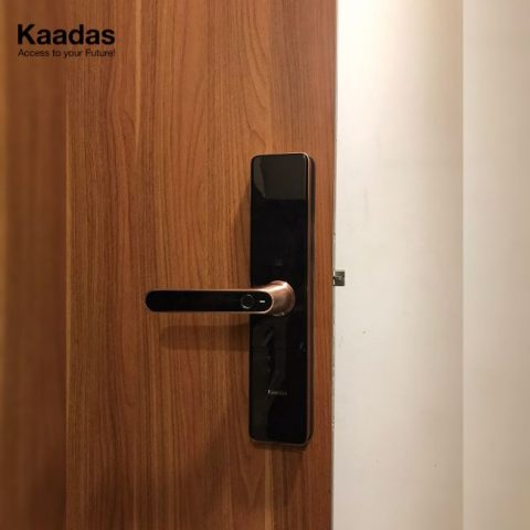 Giá khóa cửa vân tay và những điều cần biết 2