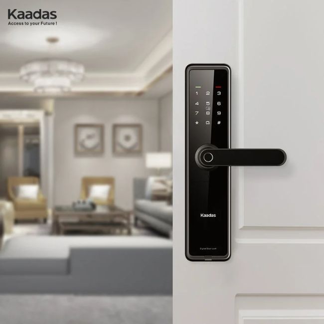 Khóa cửa chung cư Kaadas L8