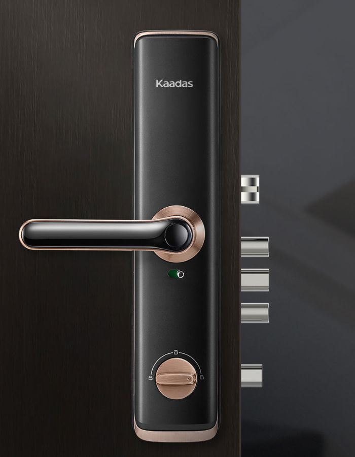 Khóa cửa điện tử tay gạt bán chạy tại Kaadas 3