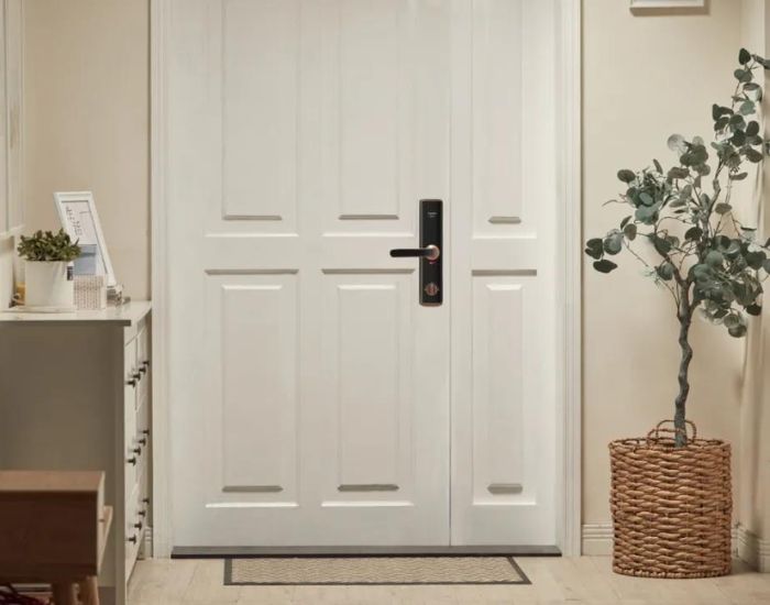 Khóa vân tay nhập khẩu 5