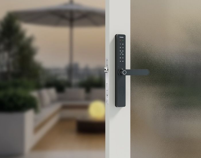 khóa cửa vân tay của đức 8