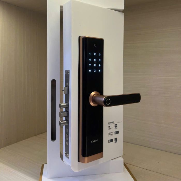 khóa cửa điện tử cao cấp 6