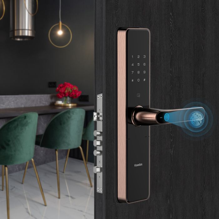 khóa vân tay cửa gỗ  5