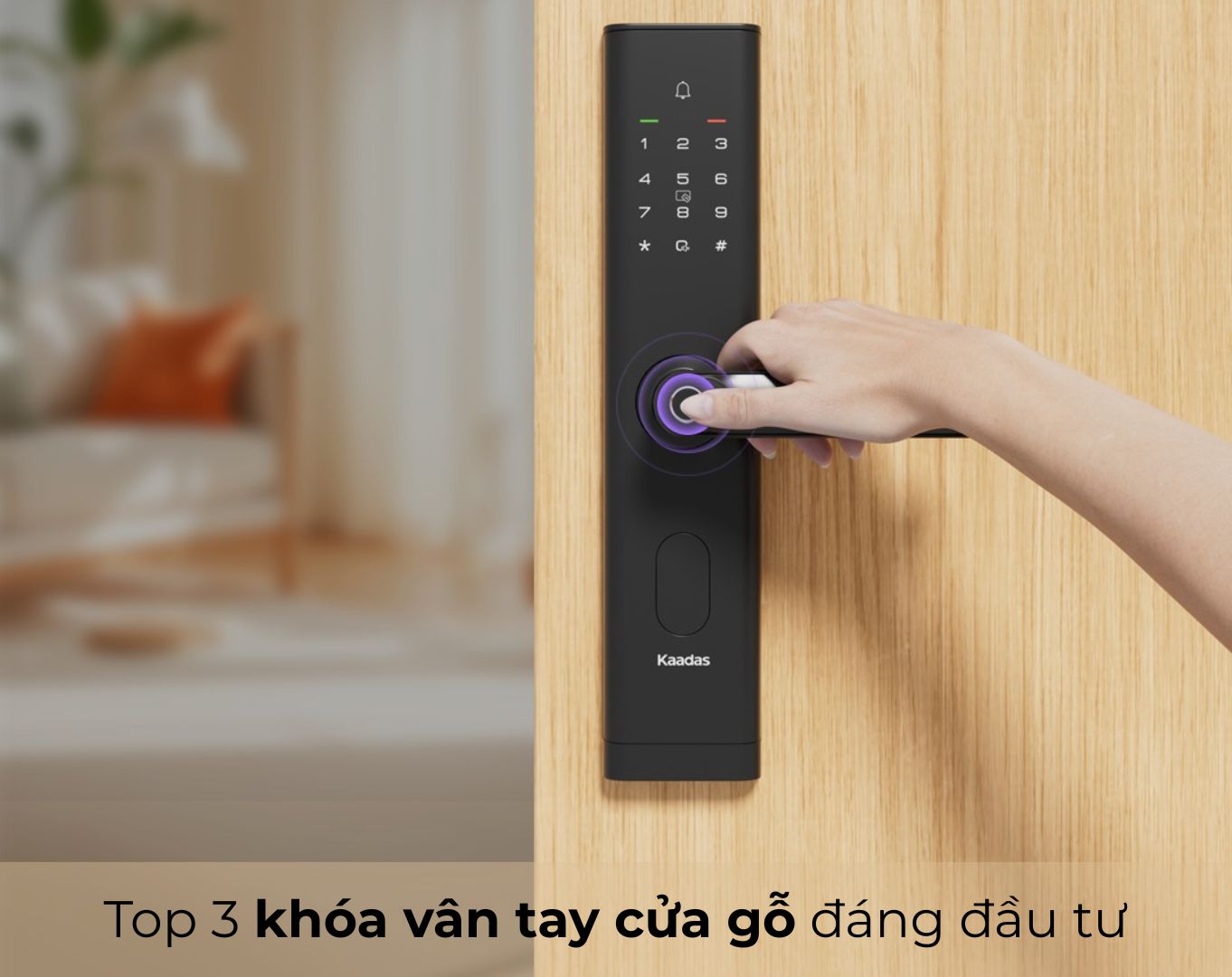 khóa vân tay cửa gỗ