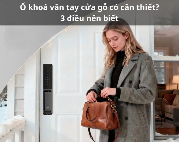ổ khoá vân tay cửa gỗ