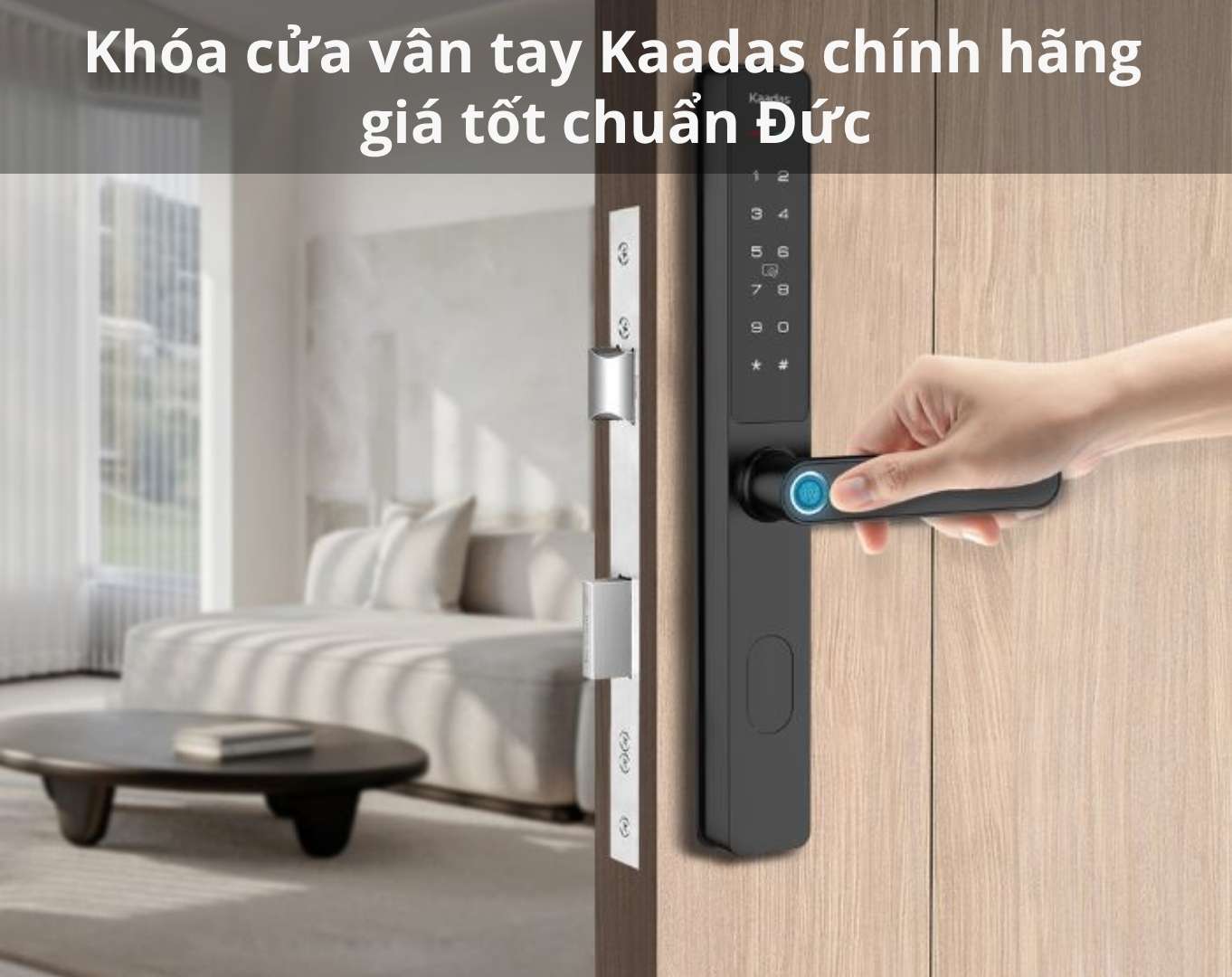 Khóa cửa vân tay Kaadas: Giải pháp an ninh tuyệt đối
